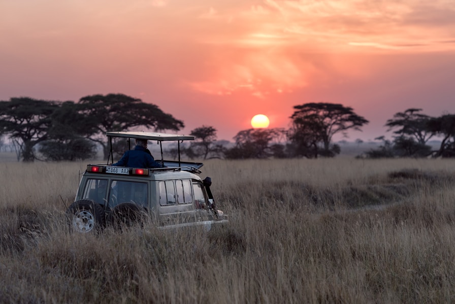 An Unforgettable Tanzanian Expedition